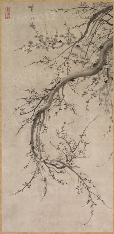 Prunus, 17th century. Creator: Kano Ein? (Japanese, 1631-1697), attributed to.