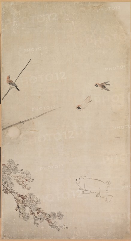 Puppies, Sparrows and Chrysanthemums, 1754-1799. Creator: Nagasawa Rosetsu (Japanese, 1754-1799).