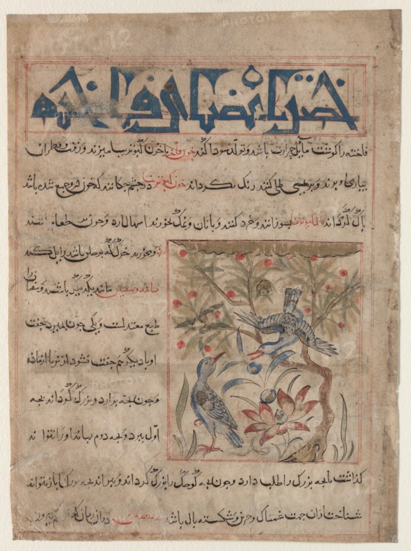 Qualities of Ringdoves (recto); On the Benefits of Quails (verso)..., c. 1300. Creator: Unknown.