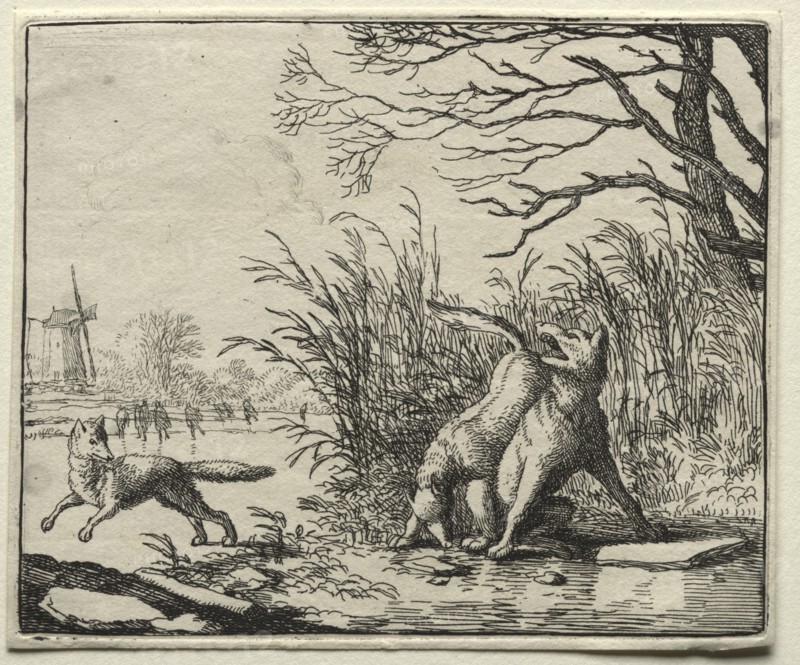 Reynard the Fox: A New Accusation by the Wolf. Creator: Allart van Everdingen (Dutch, 1621-1675).