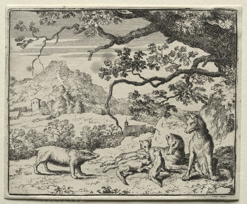 Reynard the Fox: The Badger Calls Reynard to Court. Creator: Allart van Everdingen (Dutch, 1621-1675).