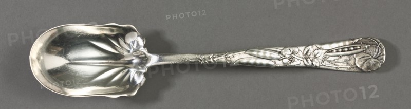 Salad Spoon (Pattern "Vine"), c. 1872-80. Creator: Tiffany & Co. (American, New York, est. 1837).