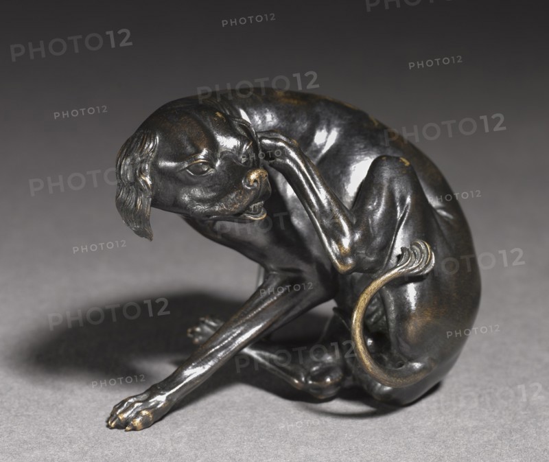 Sitting Dog Scratching Himself, c. 1525-1530. Creator: Unknown.