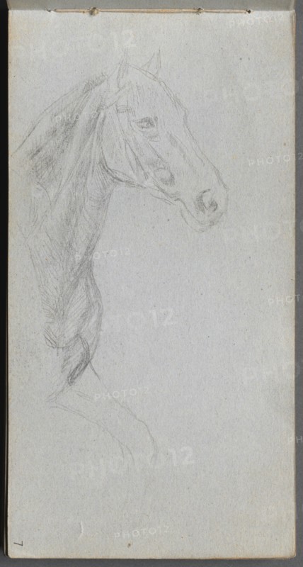 Sketchbook, page 07: Study of a Horse. Creator: Ernest Meissonier (French, 1815-1891).