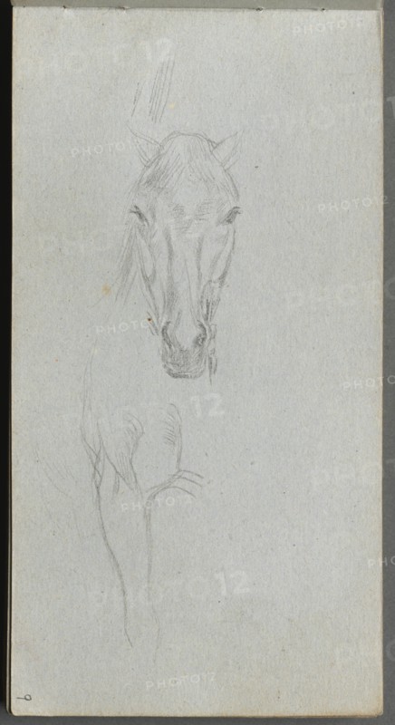 Sketchbook, page 09: Study of a Horse. Creator: Ernest Meissonier (French, 1815-1891).