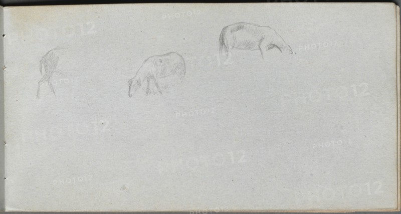 Sketchbook, page 20: Animal Study. Creator: Ernest Meissonier (French, 1815-1891).
