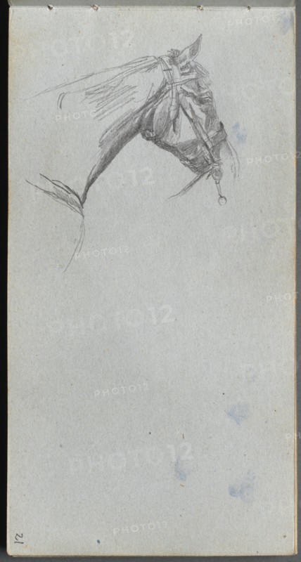 Sketchbook, page 21: Study of a Horse. Creator: Ernest Meissonier (French, 1815-1891).