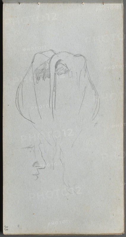 Sketchbook, page 33: Study of a Cow from Behind and Profile Study. Creator: Ernest Meissonier (French, 1815-1891).