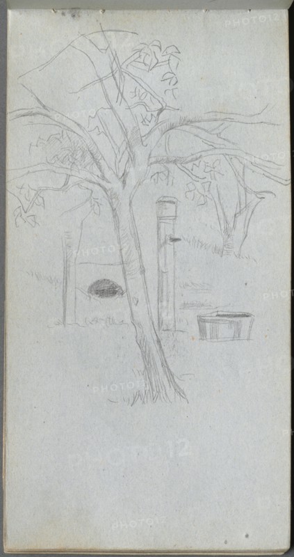 Sketchbook, page 36: Tree Study. Creator: Ernest Meissonier (French, 1815-1891).