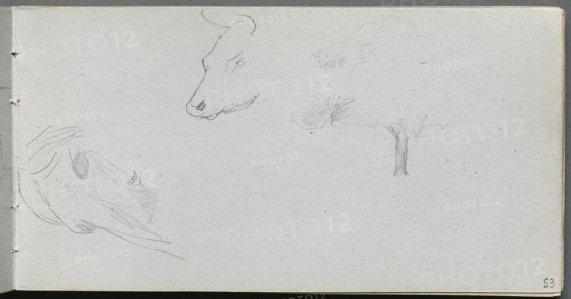 Sketchbook, page 53: Animal Studies and Tree Study. Creator: Ernest Meissonier (French, 1815-1891).