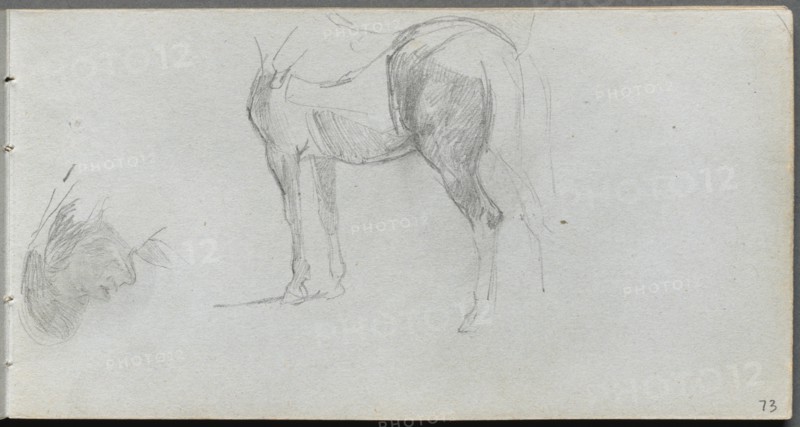 Sketchbook, page 73: Study of a Horse, profile. Creator: Ernest Meissonier (French, 1815-1891).