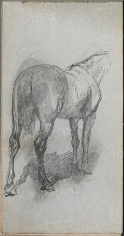 Sketchbook, page 76: Study of a Horse. Creator: Ernest Meissonier (French, 1815-1891).