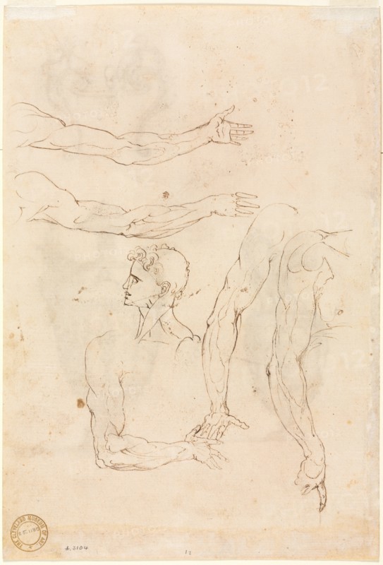 Sketches of Five Arms and a Head (verso), mid 1500s. Creator: Luzio Romano (Italian, active 1528-75).