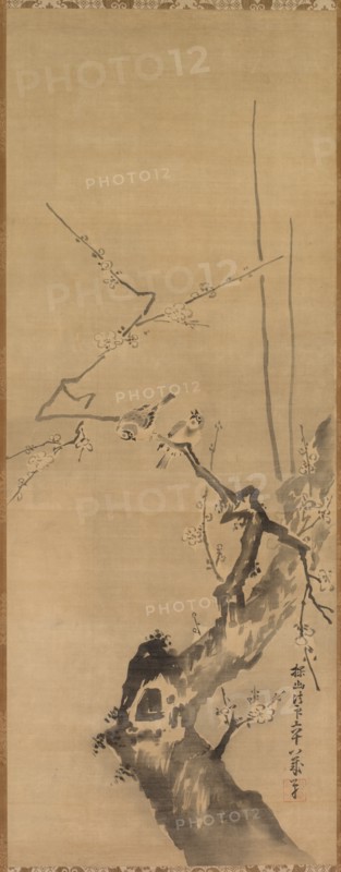 Sparrows on Blossoming Plum, 17th century. Creator: Kano Tan?y? (Japanese, 1602-1674), attributed to.