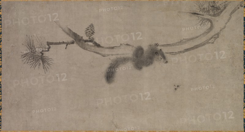 Squirrel on a Pine Branch, 1500s. Creator: Song Tian (Chinese, active 1300s).