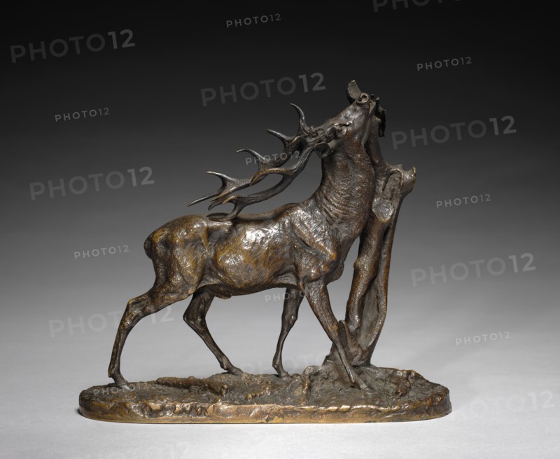 Stag, c. 1825 - 1879. Creator: Pierre Jules Mène (French, 1810-1879).