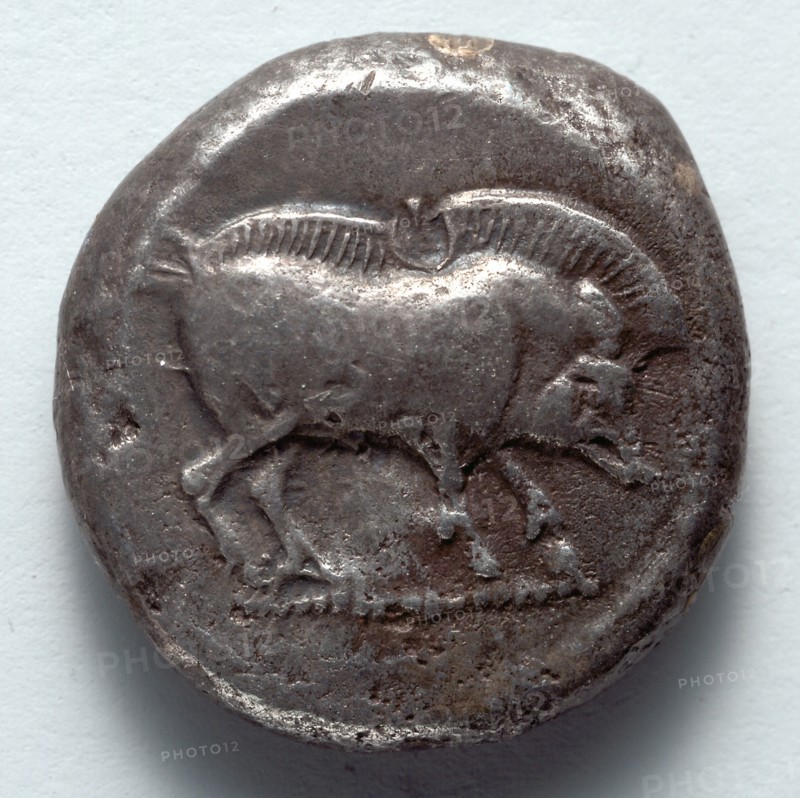 Stater: Boar (obverse), 500-450 BC. Creator: Unknown.