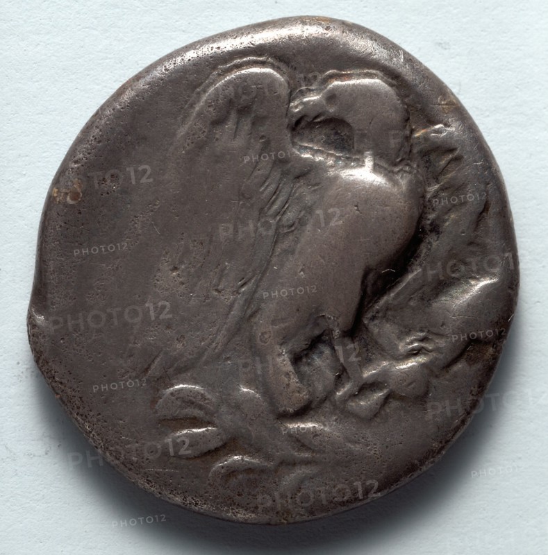 Stater: Eagle with Spread Wings on Olive Branch (obverse), 471-421 BC. Creator: Unknown.