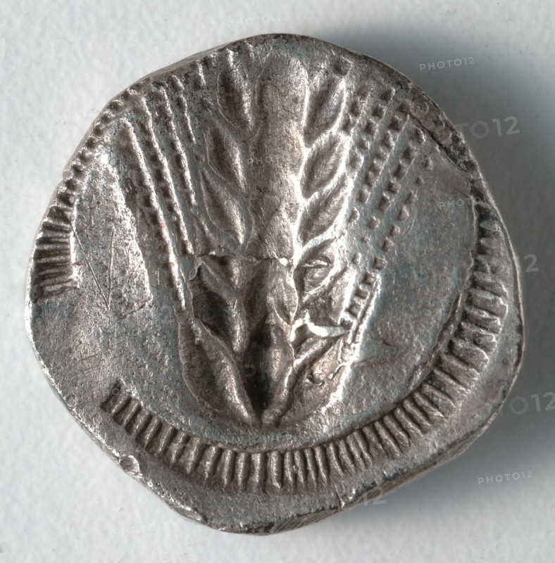 Stater: Ear of Corn incuse [stamped in] (reverse), 530-510 BC. Creator: Unknown.