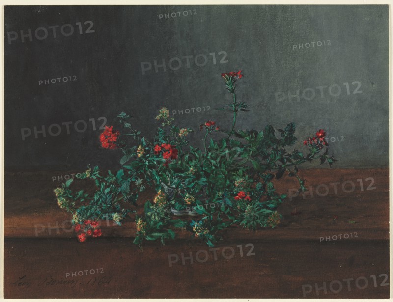 Still Life with Wild Flowers, 1864. Creator: Léon Bonvin (French, 1834-1866).