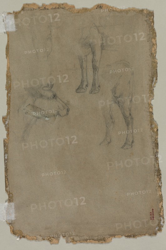 Studies of a Bull, 1864. Creator: Johan Barthold Jongkind (Dutch, 1819-1891), possibly by.