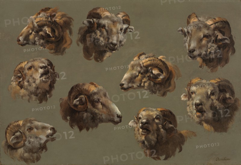 Studies of Ram Heads, 1700s. Creator: Unknown.
