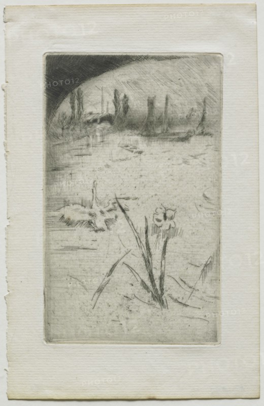 Swan and Iris, 1883. Creator: James McNeill Whistler (American, 1834-1903).