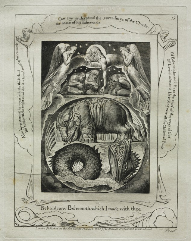 The Book of Job: Pl. 15, Behold now Behemoth which I made with thee, 1825. Creator: William Blake (British, 1757-1827).