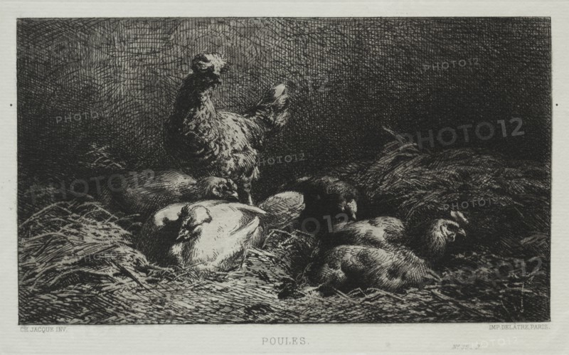 The Chickens. Creator: Charles-Émile Jacque (French, 1813-1894).