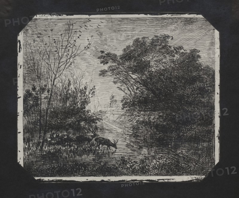 The Deer, 1862. Creator: Charles François Daubigny (French, 1817-1878).