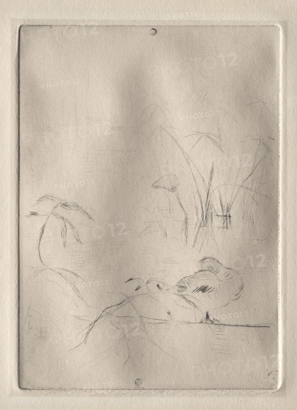 The Duck, 1888-90. Creator: Berthe Morisot (French, 1841-1895).