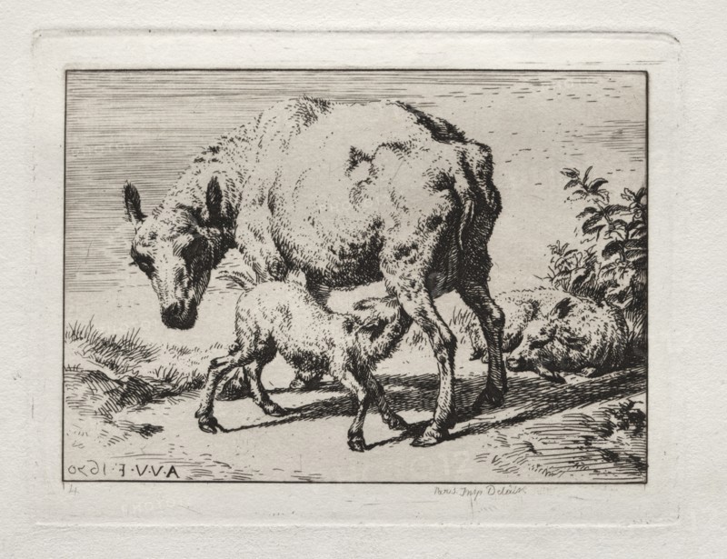 The Ewe with Two Lambs, 1850. Creator: Charles Meryon (French, 1821-1868).