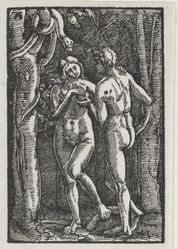 The Fall and Redemption of Man: Adam and Eve Eating the Forbidden Fruit, c. 1513. Creator: Albrecht Altdorfer (German, c. 1480-1538).