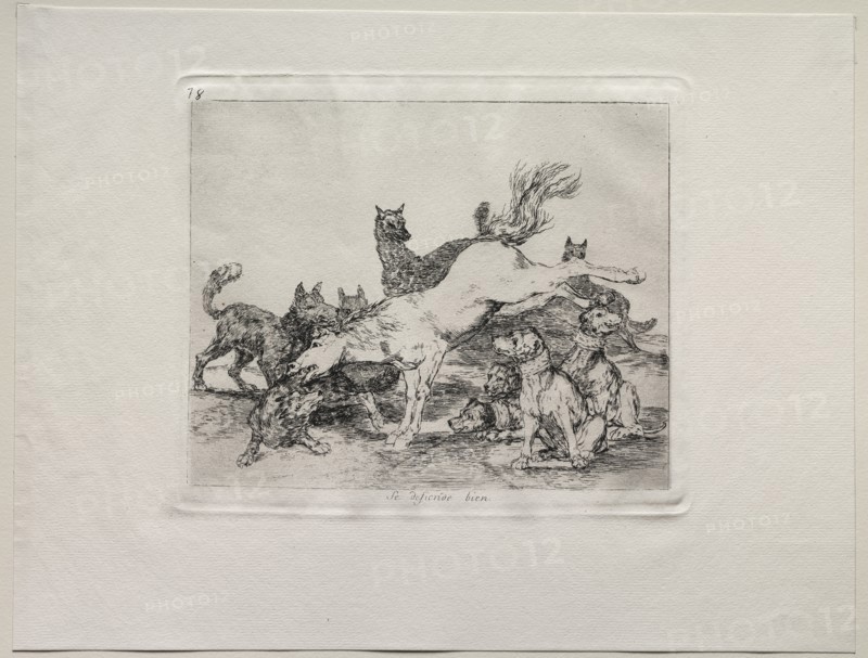 The Horrors of War: He Defends Himself Well. Creator: Francisco de Goya (Spanish, 1746-1828).