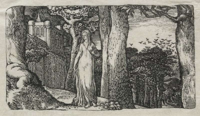 The Lady and the Rooks, 1829. Creator: Edward Calvert (British, 1799-1883).