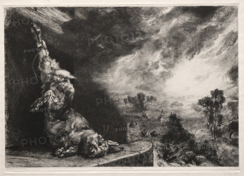 The Large Rabbit, 1891, printed 1894. Creator: Félix Bracquemond (French, 1833-1914).