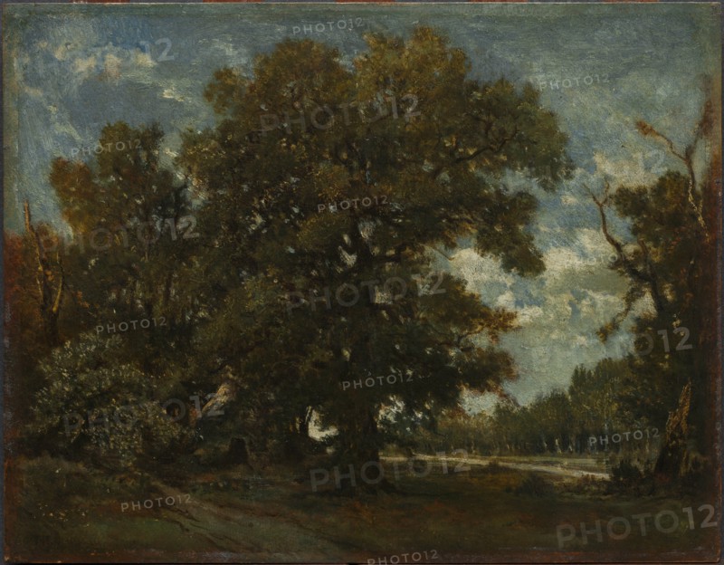 The Oak Tree, 19th century. Creator: Théodore Rousseau (French, 1812-1867), imitator of.