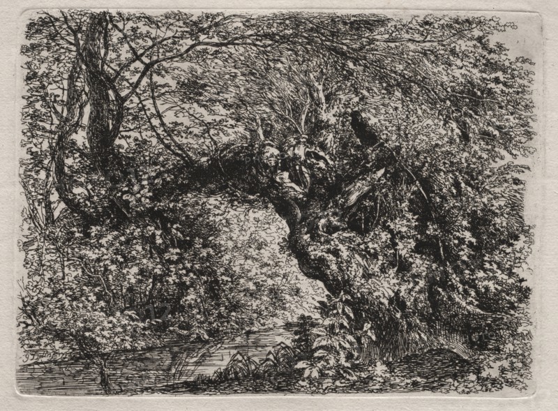 The Old Willow at a Brook, 1794. Creator: Georg von Dillis (German, 1759-1841).
