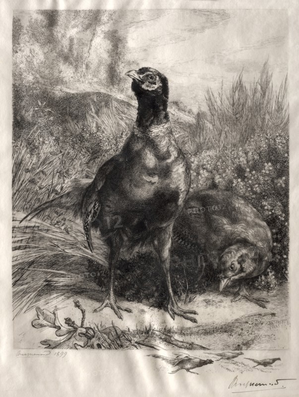 The Pheasants, 1899. Creator: Félix Bracquemond (French, 1833-1914).