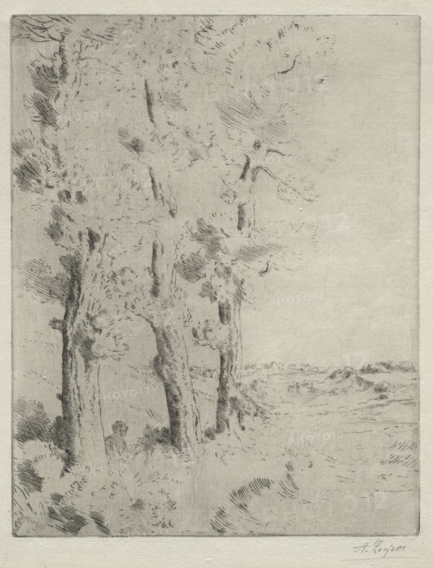 The Reader: The Lecture under the Trees, c. 1882. Creator: Alphonse Legros (French, 1837-1911).