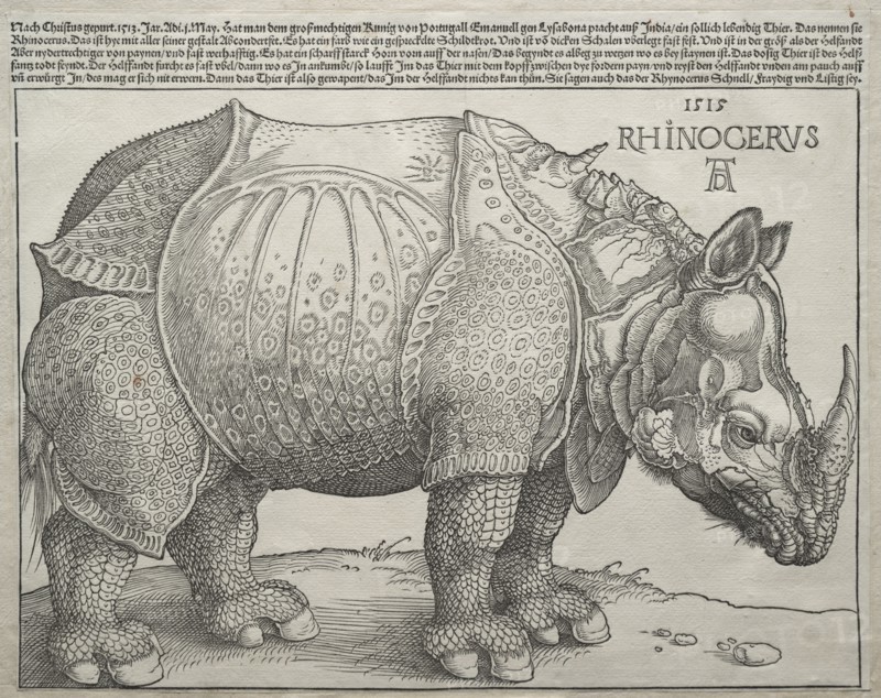 The Rhinoceros, 1515. Creator: Albrecht Dürer (German, 1471-1528).