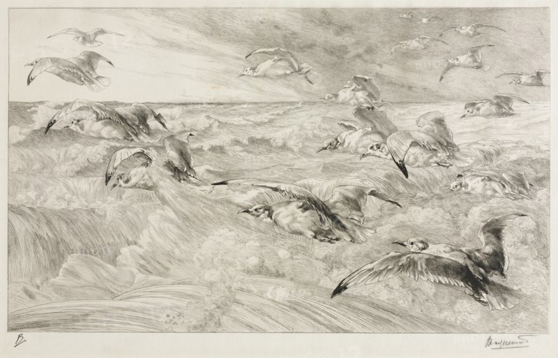The Seagulls, c. 1880. Creator: Félix Bracquemond (French, 1833-1914).