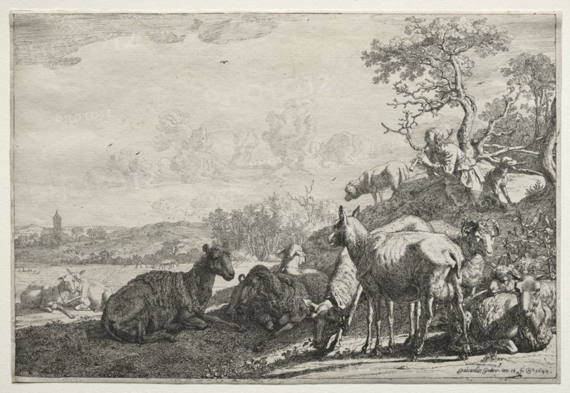 The Shepherd, 1644. Creator: Paulus Potter (Dutch, 1625-1654).