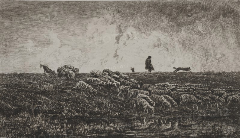 The Shower, c. 1851. Creator: Charles François Daubigny (French, 1817-1878).
