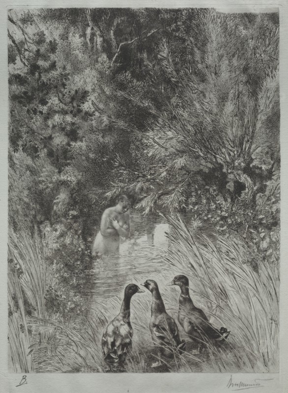 The Surprised Ducks. Creator: Félix Bracquemond (French, 1833-1914).