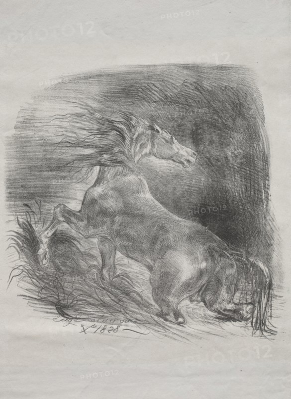 The Wild Horse, or Frightened Horse Leaving the Water, 1828. Creator: Eugène Delacroix (French, 1798-1863).