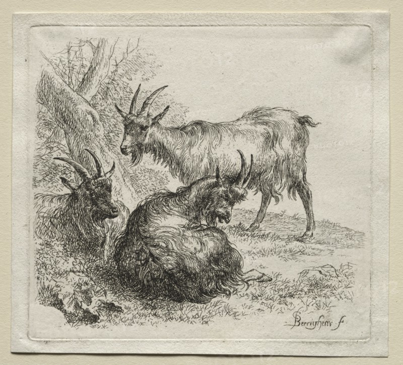 Three Goats. Creator: Nicolaes Berchem (Dutch, 1620-1683).