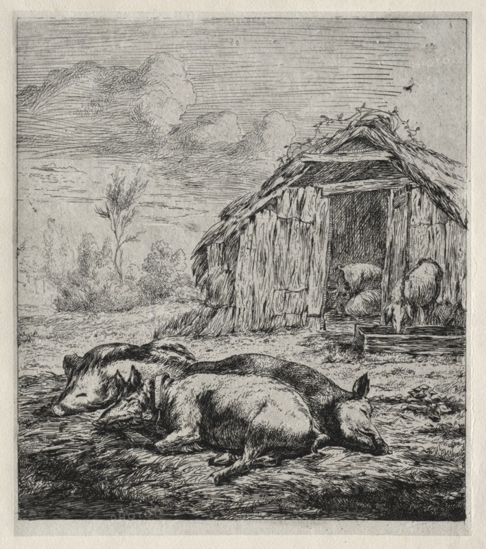 Three Swine Lying in Front of a Sty, 1850. Creator: Charles Meryon (French, 1821-1868).