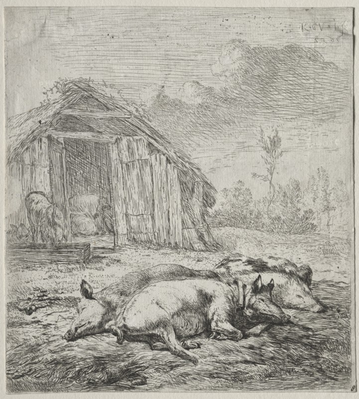 Three Swine Lying in Front of a Sty. Creator: Karel Dujardin (Dutch, c. 1622-1678).