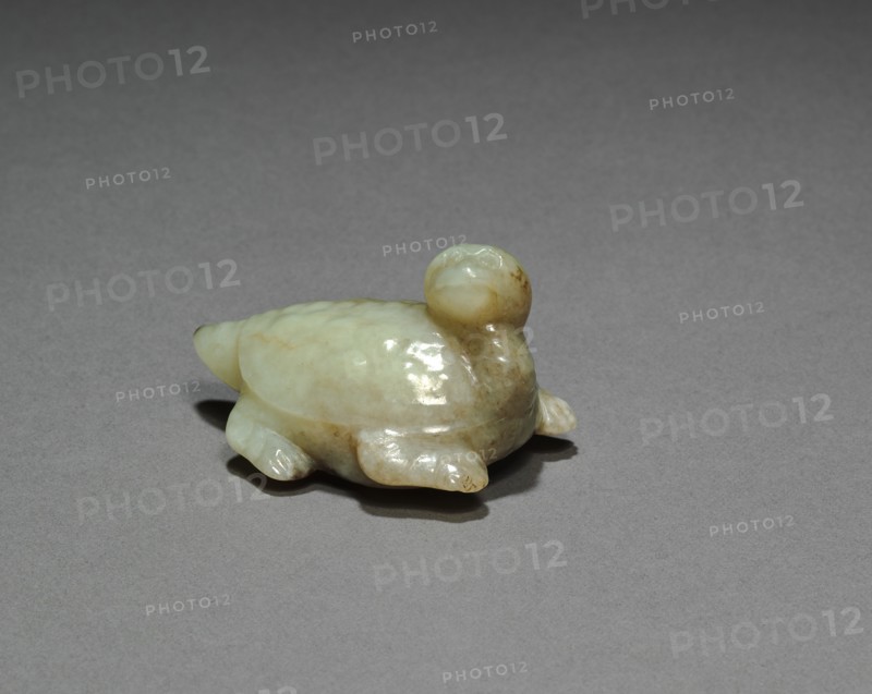 Tortoise, 1368-1644. Creator: Unknown.